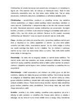 Referāts 'Cilvēka tiesības, brīvība un atbildība', 5.