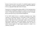 Referāts 'Cilvēka tiesības, brīvība un atbildība', 11.