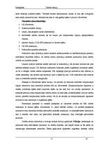 Konspekts 'Tiesību teorija', 13.