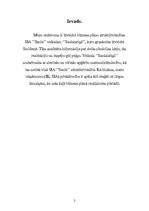 Biznesa plāns 'Biznesa plāns', 2.