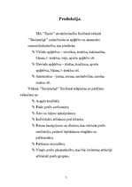 Biznesa plāns 'Biznesa plāns', 7.