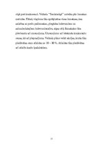 Biznesa plāns 'Biznesa plāns', 15.