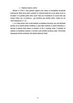 Diplomdarbs 'Rakstīšanas traucējumu korekcijas iespējas skolēniem ar valodas sistēmas nepieti', 21.