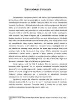 Referāts 'Pētījums par Iļģuciema infrastruktūru', 15.