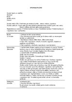 Paraugs 'Stundas plāns', 1.