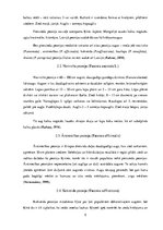 Referāts 'Peonija', 5.