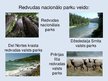 Prezentācija 'Redvudas Nacionālais parks', 4.