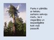 Prezentācija 'Redvudas Nacionālais parks', 5.