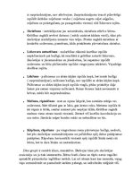 Konspekts 'Bērna fiziskās attīstības raksturojums', 2.