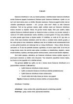 Referāts 'Tūrisma resursi un iespējas Kalsnavas arborētumā', 3.