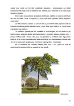 Referāts 'Tūrisma resursi un iespējas Kalsnavas arborētumā', 22.