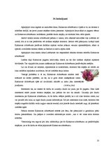 Referāts 'Tūrisma resursi un iespējas Kalsnavas arborētumā', 23.