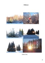 Referāts 'Tūrisma resursi un iespējas Kalsnavas arborētumā', 29.