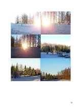 Referāts 'Tūrisma resursi un iespējas Kalsnavas arborētumā', 30.