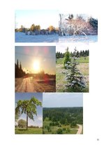 Referāts 'Tūrisma resursi un iespējas Kalsnavas arborētumā', 31.