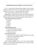 Biznesa plāns 'Uzņēmuma biznesa plāns pirmajam darbības gadam', 2.