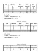 Biznesa plāns 'Uzņēmuma biznesa plāns pirmajam darbības gadam', 5.