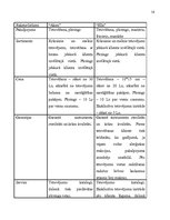 Biznesa plāns 'Uzņēmuma biznesa plāns pirmajam darbības gadam', 16.