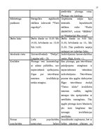 Biznesa plāns 'Uzņēmuma biznesa plāns pirmajam darbības gadam', 17.