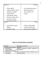 Biznesa plāns 'Uzņēmuma biznesa plāns pirmajam darbības gadam', 19.