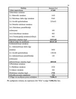 Biznesa plāns 'Uzņēmuma biznesa plāns pirmajam darbības gadam', 24.