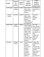 Referāts 'Profesijas, kurās nepieciešamas matemātikas zināšanas. Latvijas augstskolu piedā', 6.