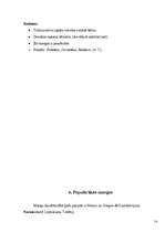 Referāts 'Manga', 9.