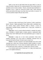 Referāts 'Manga', 12.