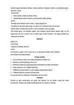 Konspekts 'Projekts', 4.