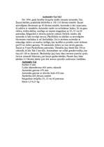 Referāts 'Kājnieku individuālie ieroči', 5.