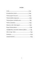 Referāts 'Kā bērns apgūst valodu', 2.