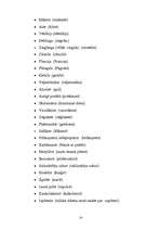 Referāts 'Kā bērns apgūst valodu', 14.