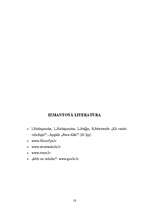 Referāts 'Kā bērns apgūst valodu', 18.