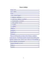 Referāts 'Dzīves līmeņa atšķirības laukos un pilsētā', 2.