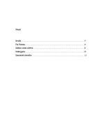 Referāts 'Ideālas valsts modelis', 2.