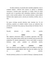 Referāts 'Personāla plānošana', 5.