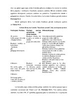 Diplomdarbs 'Agrīnās bērnības vecuma bērnu valodas attīstība pirmsskolā ar angļu valodu kā ot', 53.