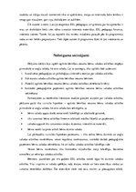 Diplomdarbs 'Agrīnās bērnības vecuma bērnu valodas attīstība pirmsskolā ar angļu valodu kā ot', 66.