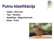 Prezentācija 'Putni', 3.