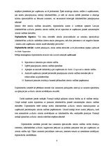 Diplomdarbs 'Pakalpojumu zīmola vadība uzņēmumā "Air Baltic Corporation"', 6.