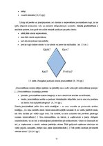 Diplomdarbs 'Pakalpojumu zīmola vadība uzņēmumā "Air Baltic Corporation"', 13.