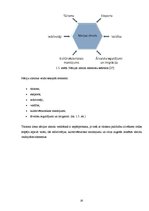 Diplomdarbs 'Pakalpojumu zīmola vadība uzņēmumā "Air Baltic Corporation"', 20.