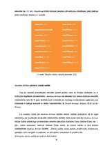 Diplomdarbs 'Pakalpojumu zīmola vadība uzņēmumā "Air Baltic Corporation"', 26.