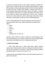 Diplomdarbs 'Pakalpojumu zīmola vadība uzņēmumā "Air Baltic Corporation"', 30.