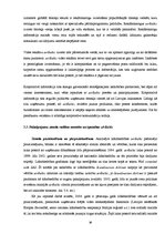 Diplomdarbs 'Pakalpojumu zīmola vadība uzņēmumā "Air Baltic Corporation"', 36.