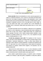 Diplomdarbs 'Pakalpojumu zīmola vadība uzņēmumā "Air Baltic Corporation"', 39.