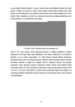 Diplomdarbs 'Pakalpojumu zīmola vadība uzņēmumā "Air Baltic Corporation"', 42.