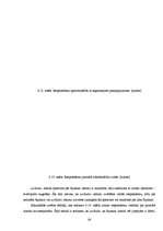 Diplomdarbs 'Pakalpojumu zīmola vadība uzņēmumā "Air Baltic Corporation"', 53.