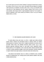 Diplomdarbs 'Pakalpojumu zīmola vadība uzņēmumā "Air Baltic Corporation"', 54.