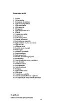 Diplomdarbs 'Pakalpojumu zīmola vadība uzņēmumā "Air Baltic Corporation"', 85.